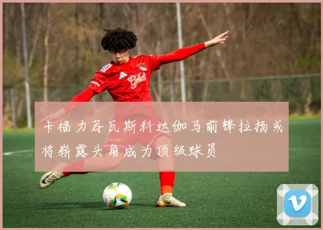 卡福力荐瓦斯科达伽马前锋拉扬或将崭露头角成为顶级球员