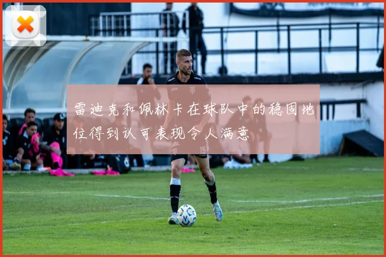 雷迪克和佩林卡在球队中的稳固地位得到认可表现令人满意