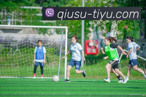 球速体育平台生态图