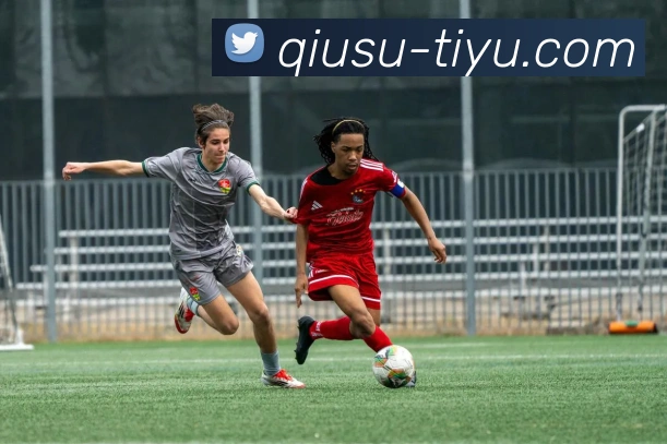 球速体育APP 封面图